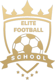 Elite Football School logo